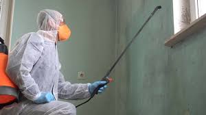 Why You Should Choose Our Mold Remediation Services in Charleroi, PA