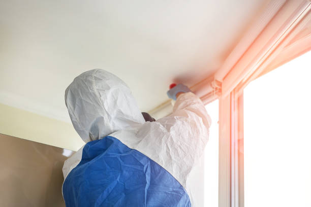 Mold Remediation for Rental Properties in Charleroi, PA